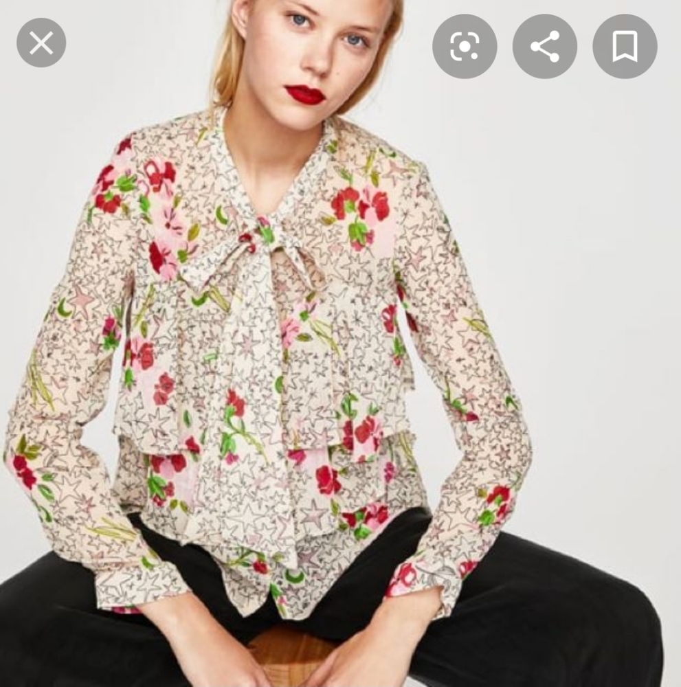 Zara Ruffled Sheer Blouse